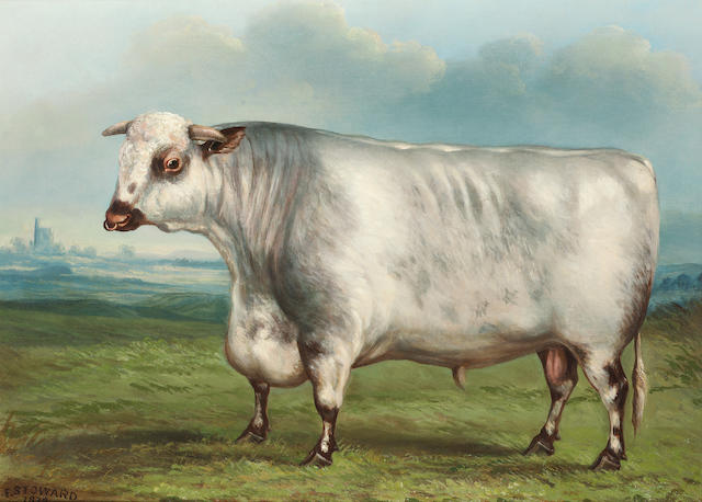 F. Stoward (British 19th century) A prize shorthorn bull in a landscape 48.2 x 66 cm. (19 x 26 in.)