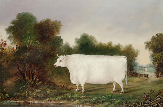 English School, circa 1855 A prize ox in a landscape 61 x 91.5 cm. (24 x 36 in.)