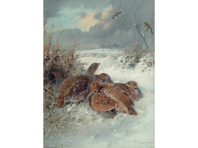 William Woodhouse (1857-1935) Partridge in a snowy landscape 52 x 39cm.