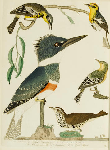 WILSON (ALEXANDER) American Ornithology; or the Natural History of the Birds of the United States, 9 vol. in 3
