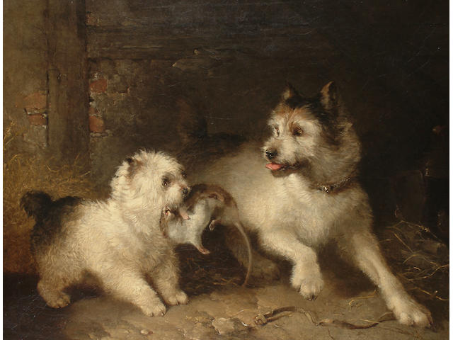 George Armfield (British, fl.1840-1875) Terriers ratting, 71 x 92cm (28 x 36 1/4in)