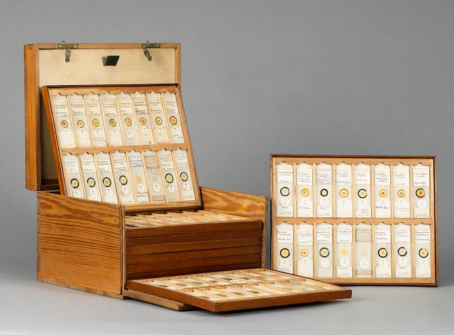 A collection of 3200 diatomaceae microscope slides, 19th and 20th century, (2)