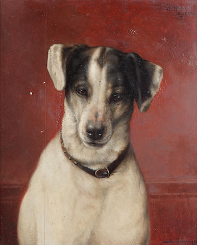 Joseph Schippers (Belgian 1868-1950) Portrait of a terrier 40 x 33 cm. (15 3/4 x 13 in.)