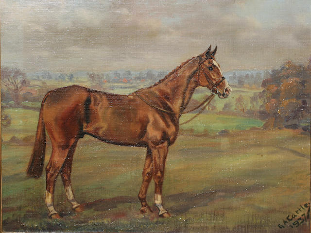 Major George A* Cattley (1896-1978) British A chestnut horse in a landscape,