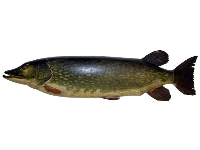 A large finely carved and painted half block Pike