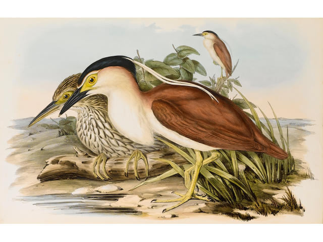 GOULD (JOHN) The Birds of Australia, 7 vol. together with the Supplement in 5 original parts