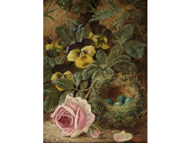 Oliver Clare Still life of flowers and birds nest with eggs,