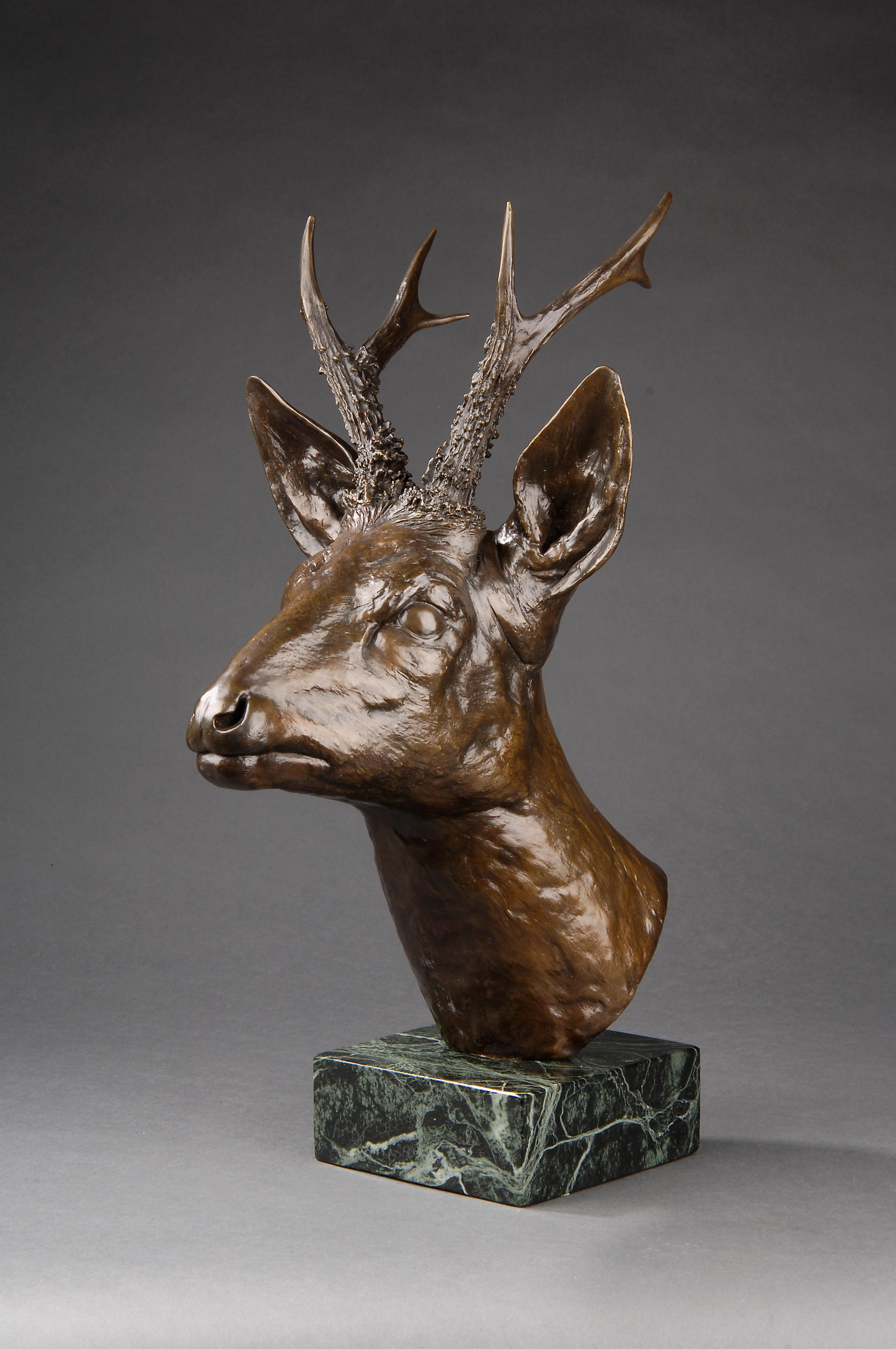 Geoffrey Dashwood (British, born 1947): A bronze model of a stag's head