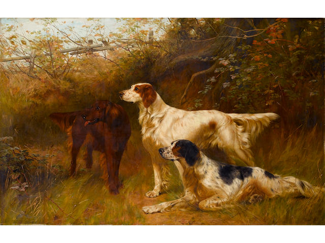 Thomas Blinks Setters (British, 1860-1912)  36 x 55 1/2 in. (91.5 x 141 cm.)
