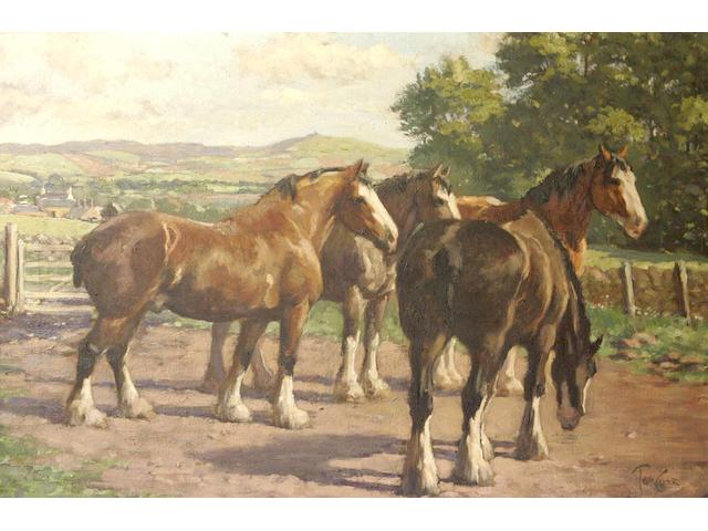 Tom Curr (1887-1958) "Horses at Ruthven"