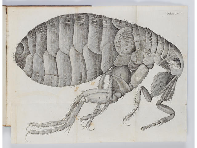 HOOKE (ROBERT) Micrographia: or Some Physiological Descriptions of Minute Bodies Made by Magnifying Glasses, FIRST EDITION, FIRST ISSUE