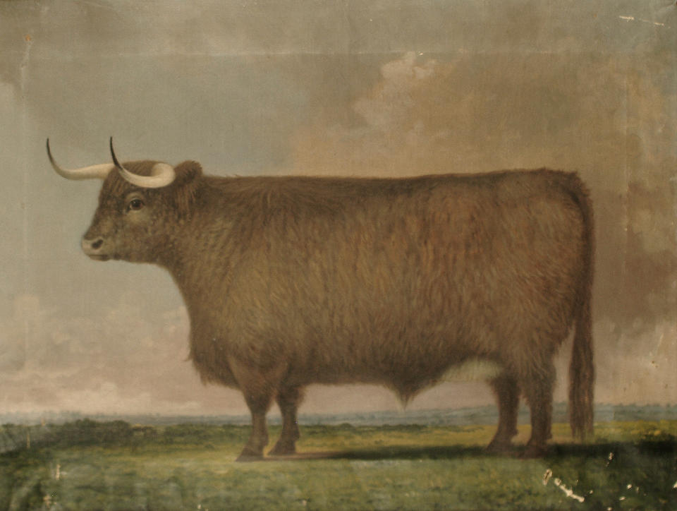 English School, late 19th/early 20th Century A brown bull in a landscape; A grey bull in a landscape each 56 x 76cm (22 1/16 x 29 15/16in) (2).