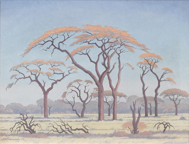 Jacob Hendrik Pierneef (South African, 1886-1957) Acacia trees on the veldt 46 x 61 cm. (18 x 24 in.)