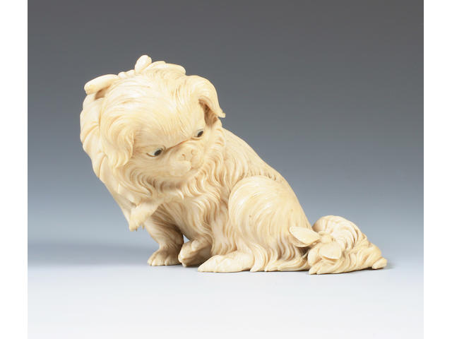 A Japanese carved ivory model of a Pekinese Meiji period