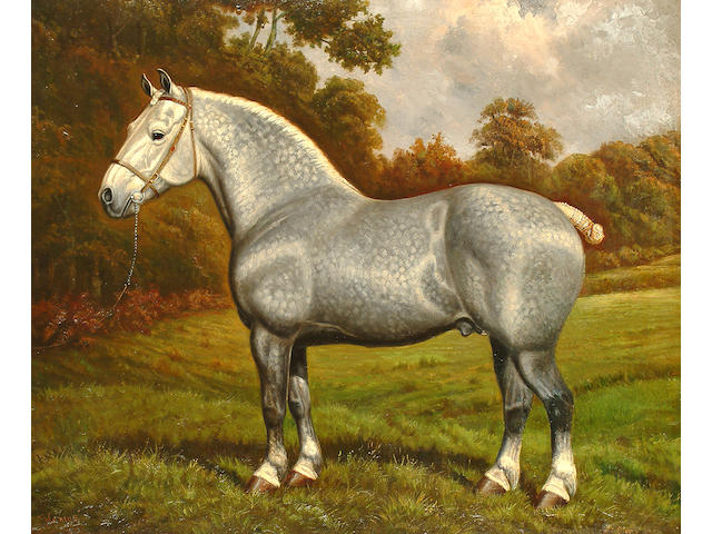William Albert Clark (British, 20th Century) The grey shire horse 'Nonius'; and The bay shire horse "Brimfield Forest King" each 51 x 61cm (20 x 24in) (2)