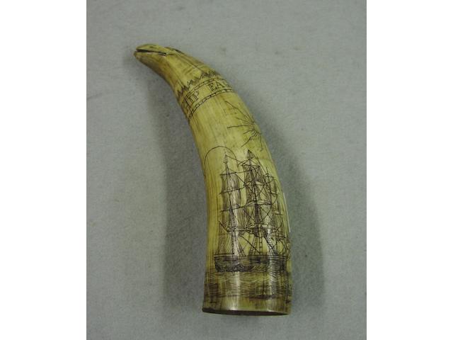 A decorated whale's tooth, 4 1/2in (11cm) high