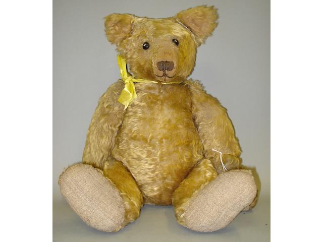Stieff Teddy bear, German 1909