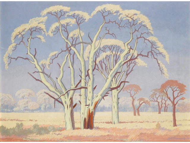 Jacob Hendrik Pierneef (South African, 1886-1957) Acacia trees in the veld