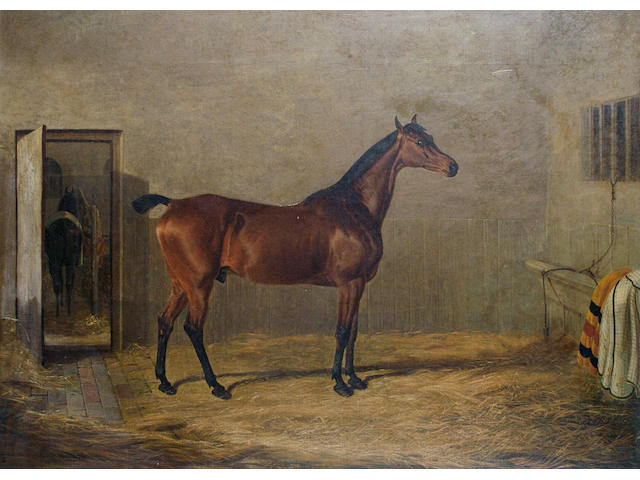 Follower of John Frederick Herring, Snr. (British, 1795-1865) Study of a horse, thought to be of Johnny Cope hunted by Sir George Sitwell, in a stable