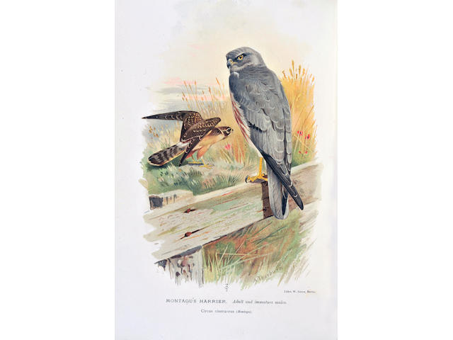LILFORD (THOMAS L. POWYS, Lord) Coloured Figures of the Birds of the British Islands, 7 vol.