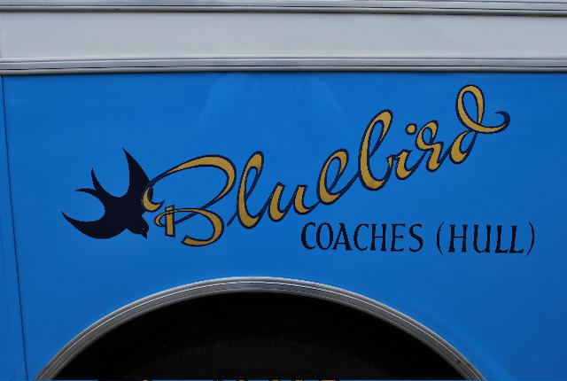 &#8220;Blue Bird&#8221; - the ex-Blue Bird Garages (Hull) Ltd,1952 Leyland Royal Tiger PSV1/1S 41-Seater Coach  Chassis no. 515490