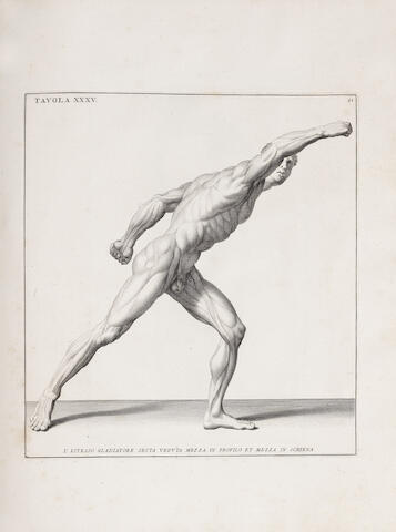 Bonhams Genga Bernardino Anatomia Per Uso Et Intelligenza Del Disegno Ricercata Non Solo Su Gl Ossi Et Muscoli Del Corpo Humano Ma Dimostrata Ancora Su Le Statue Antiche Piu Insigni De Roma