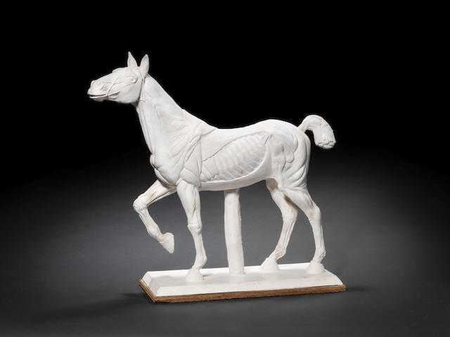 Sir Eduardo Paolozzi (British, 1924-2005) Horse with anatomy 53.5 cm (21 in.) long