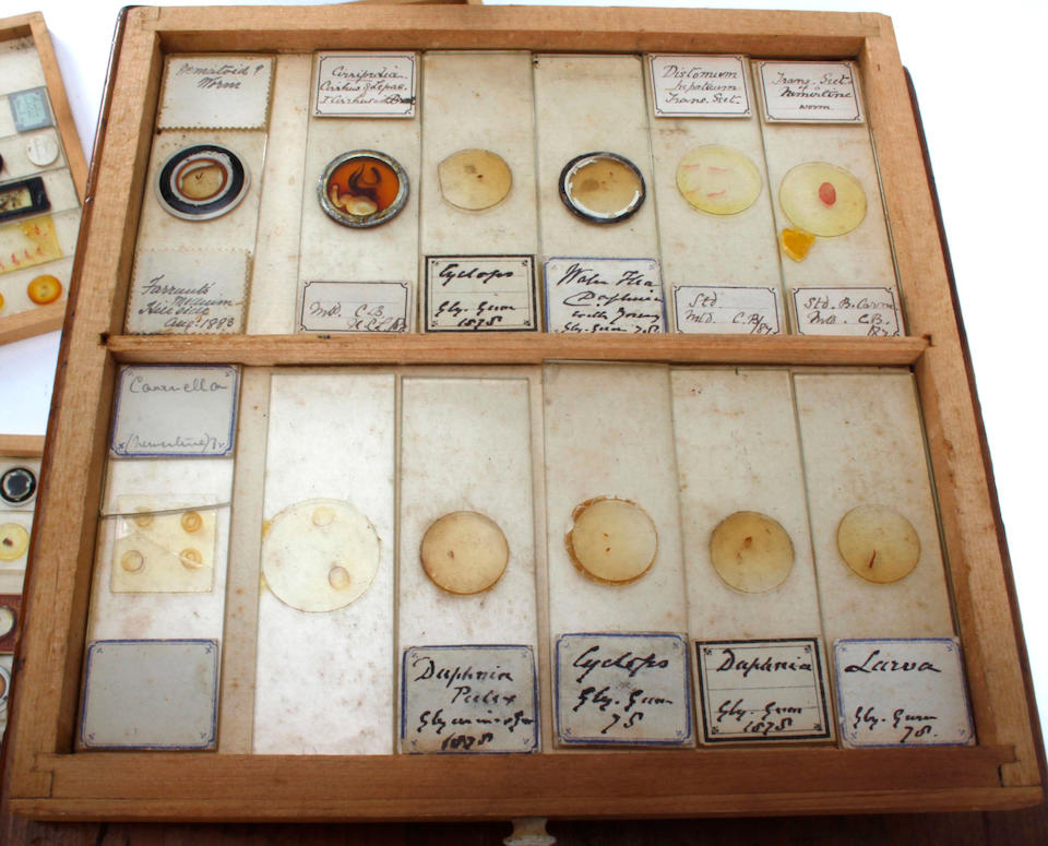 A Victorian stained pine microscope slide cabinet, fitted with 17 drawers containing a collection of slides, enclosed by a glazed panel door, brass carrying handle, 25cm, a mahogany example, the hinged top and fall front enclosing twelve trays of glass microscope slides and two smaller similar, one in mahogany, the other in pine.