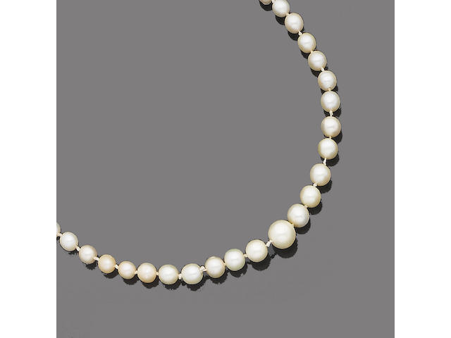 A single-strand pearl necklace