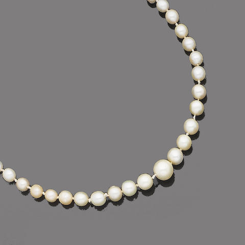 A single-strand pearl necklace