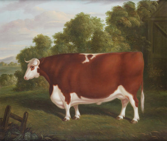 Thomas Roebuck (British, fl. 1830-1860) A portrait of a prize bull