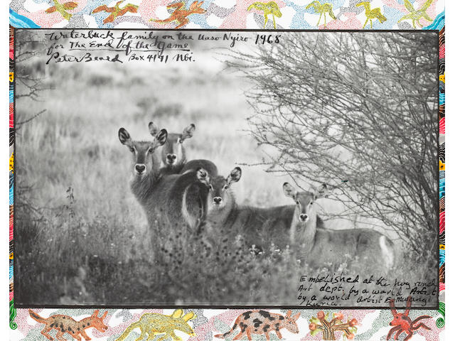 Peter Beard (American, born 1938) Waterbuck family on the Uaso Nyiro, for 'The End of the Game', 1968