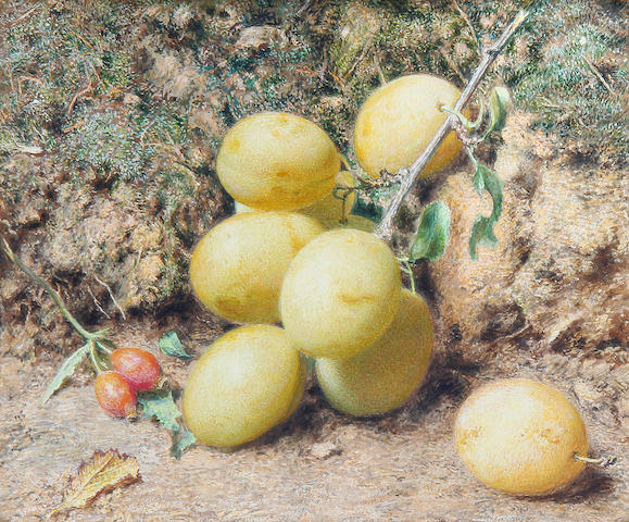 William Henry Hunt, OWS (British, 1790-1864) Magnum Bonum plums