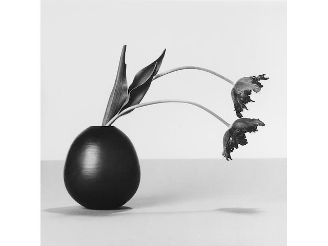 Robert Mapplethorpe (American, 1946-1989) Tulips, 1984