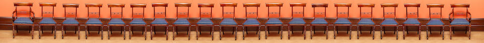 A rare set of 20 Australian cedar dining chairs including two carvers Tasmania, circa 1830