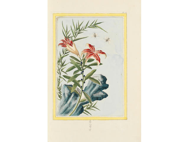 BUCHOZ (PIERRE JOSEPH) Collection pr&#233;cieuse et enlumin&#233;e des fleurs les plus belles et les plus curieuses, qui se cultivent tant dans les jardins de la Chine, que dans ceux de l'Europe, 2 vol.