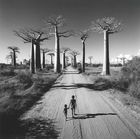 Chris Simpson (British, born 1952) All&#233;e des Baobabs, Madagascar, 1997