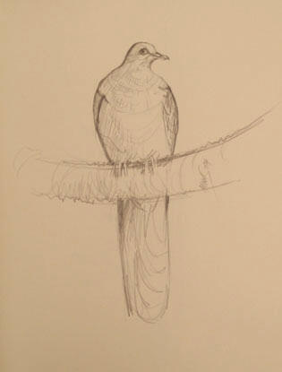 Bonhams Australian Art Morris Frank T Pencil Drawings 1969