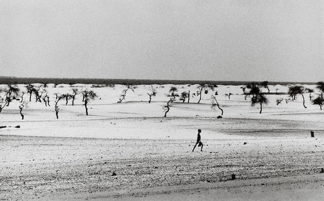 Sebasti&#227;o Salgado (Brazilian, born 1944) Lake Faguibine, Mali, 1985