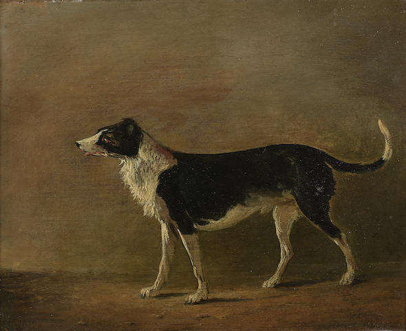 Alexander Nasmyth (Edinburgh 1758-1840) Maida, Sir Walter Scott's Dog 22 x 27 cm. (8 11/16 x 10 5/8 in.)