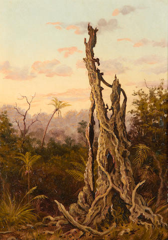 Charles Gordon Frazer (British, 1863-1899) Rata Tree, New Zealand