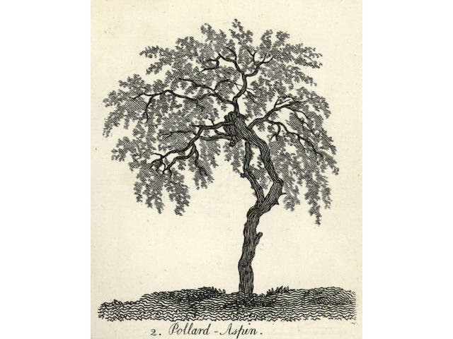 COZENS (ALEXANDER)] The Shape, Skeleton and Foliage of Thirty Two Species of Trees For the Use of Painting and Drawing, April 27, 1771