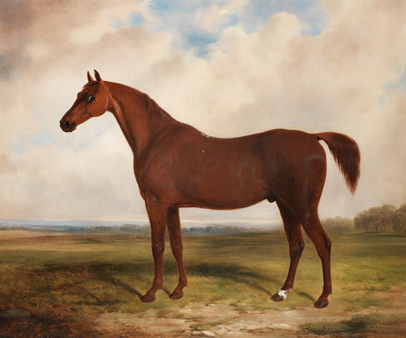 William Barraud (British, 1810-1850) A chestnut horse in a landscape