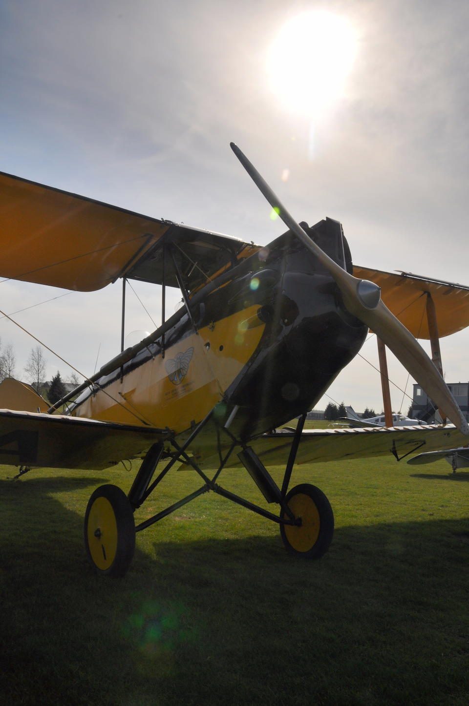 La vedette du film "Out of Africa"  American Moth Corporation DH.60GMW Gipsy Moth Biplan biplace de tourisme 1929 Registration no. Immatriculation au Royaume-Uni 'G-AAMY' Num&#233;ro Constructeur '86'