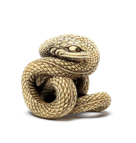 An ivory netsuke of a snake 19th century