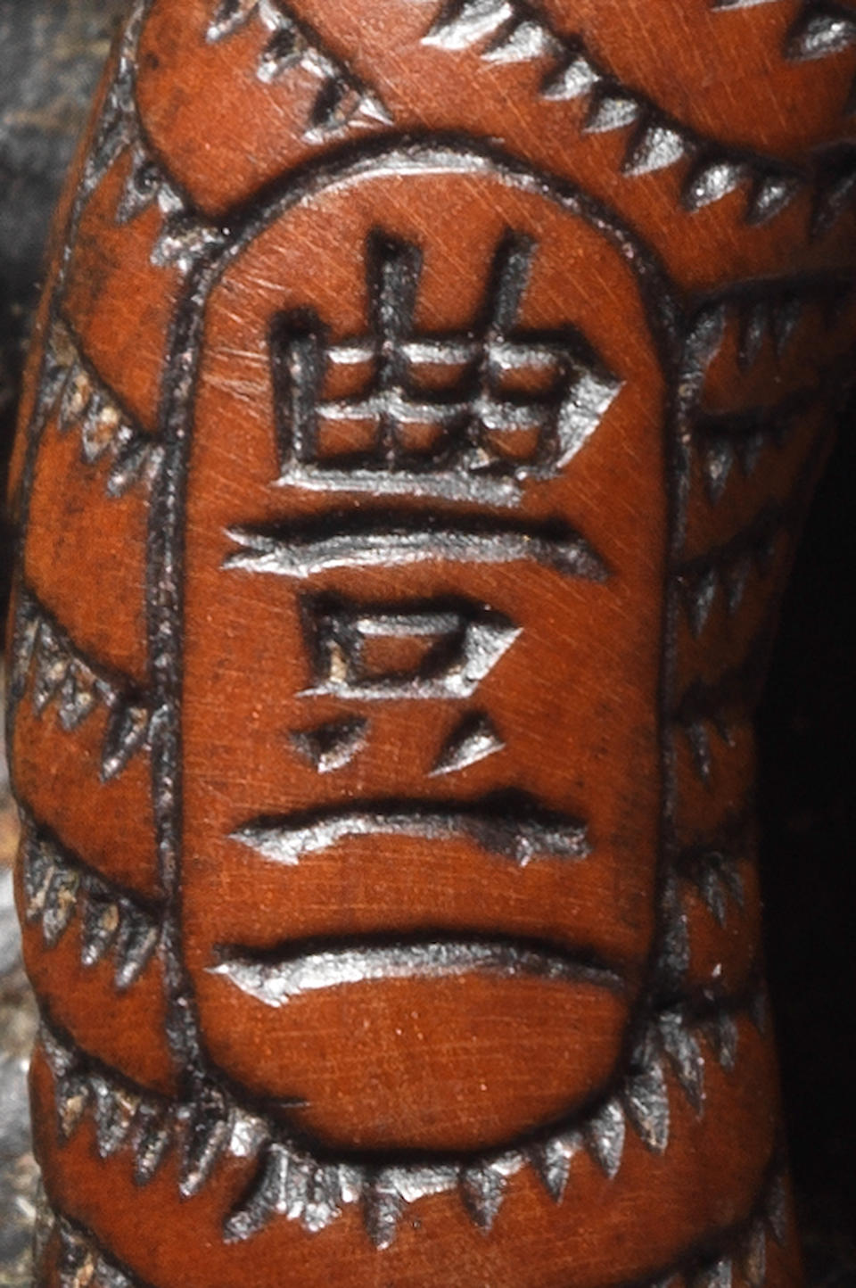 A rare wood netsuke of a snake By Toyokazu, Tanba, 19th century
