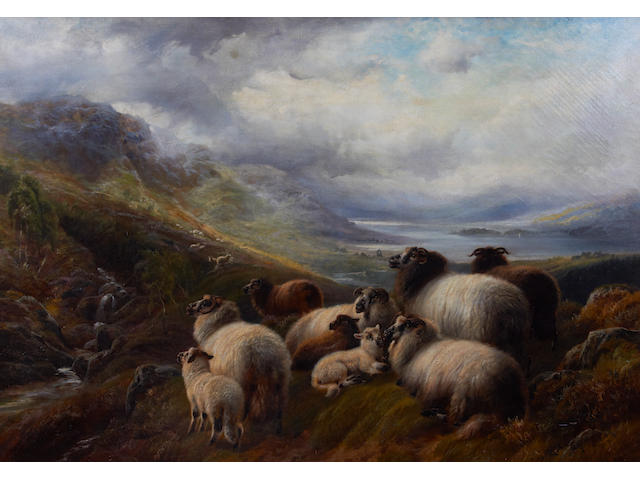 Robert Watson (British, active 1877-1920) 'Scotch sheep, Ben clough(?), Ayrshire'