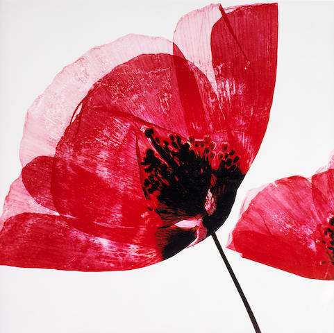 Bahman Jalali (Iran, 1944-2010) Flowers  each: 50 x 50cm (19 11/16 x 19 11/16in) total: 100 x 50cm (39 3/8 x 19 11/16in)