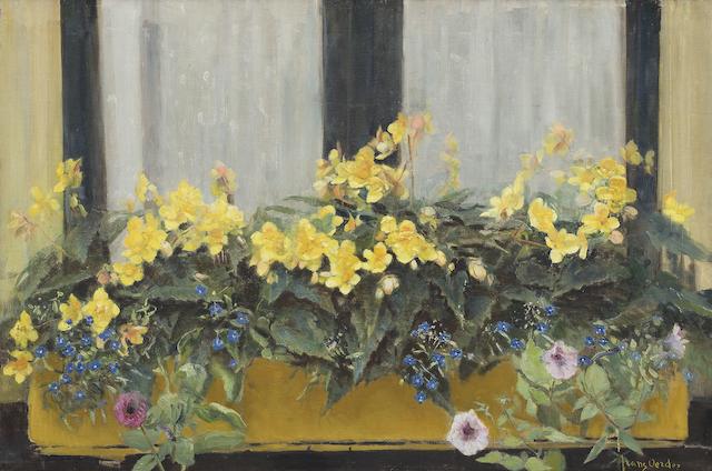 Frans David Oerder (South African, 1867-1944) Flowers in a window box: yellow begonias, forget-me-nots and petunias