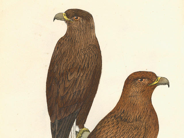 MOSLEY (SETH LISTER) A History of British Birds, their Nests and Eggs, 3 vol., Huddersfield, Mosley, [1881]-1884-1887-[1892]